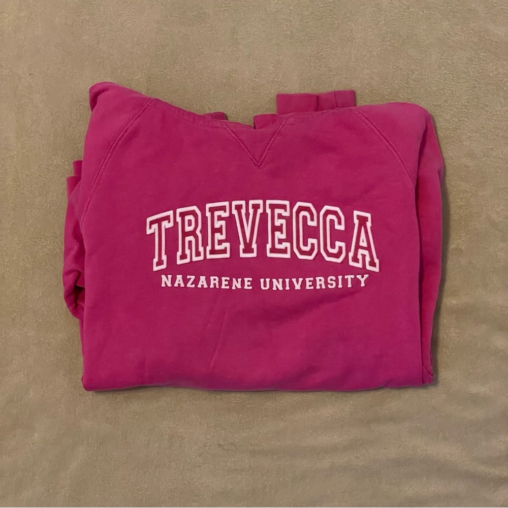 champion trevecca nazarene university pink vintage hoodie